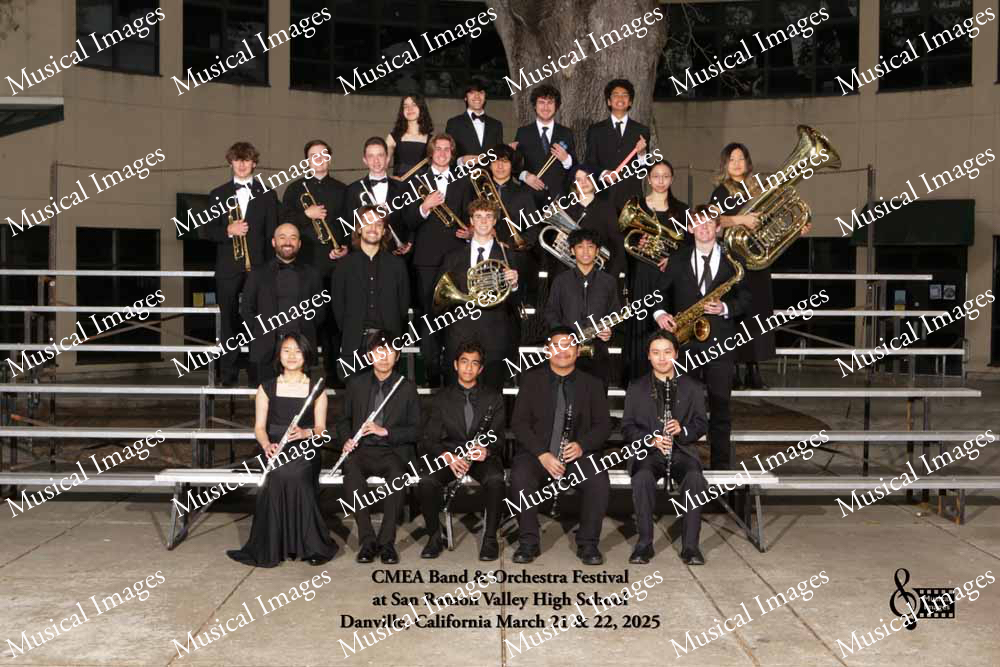 Musical Images